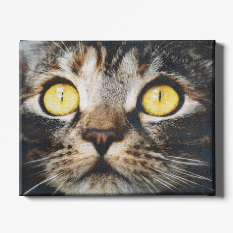Kit Broderie Diamant Chat Nature - Brodeuse De Diamant