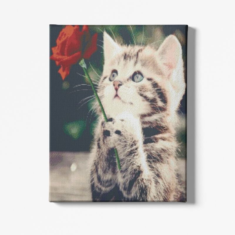 Kit Broderie Diamant Chat et Rose - Brodeuse De Diamant