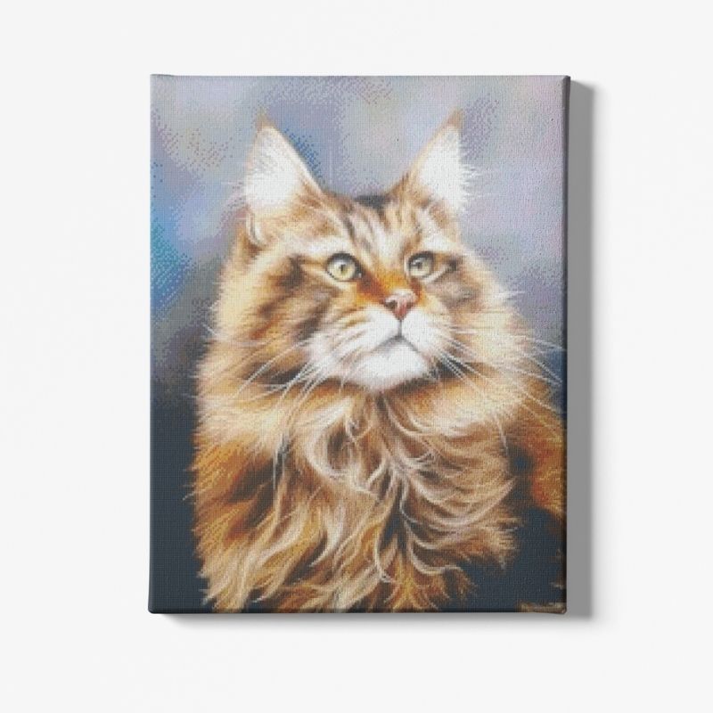 Kit Broderie Diamant Chat Maine Coon - Brodeuse De Diamant