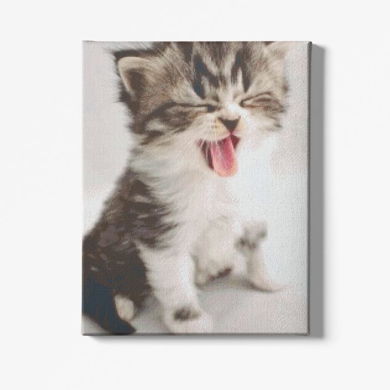 Kit Broderie Diamant Chat qui Baille - Brodeuse De Diamant