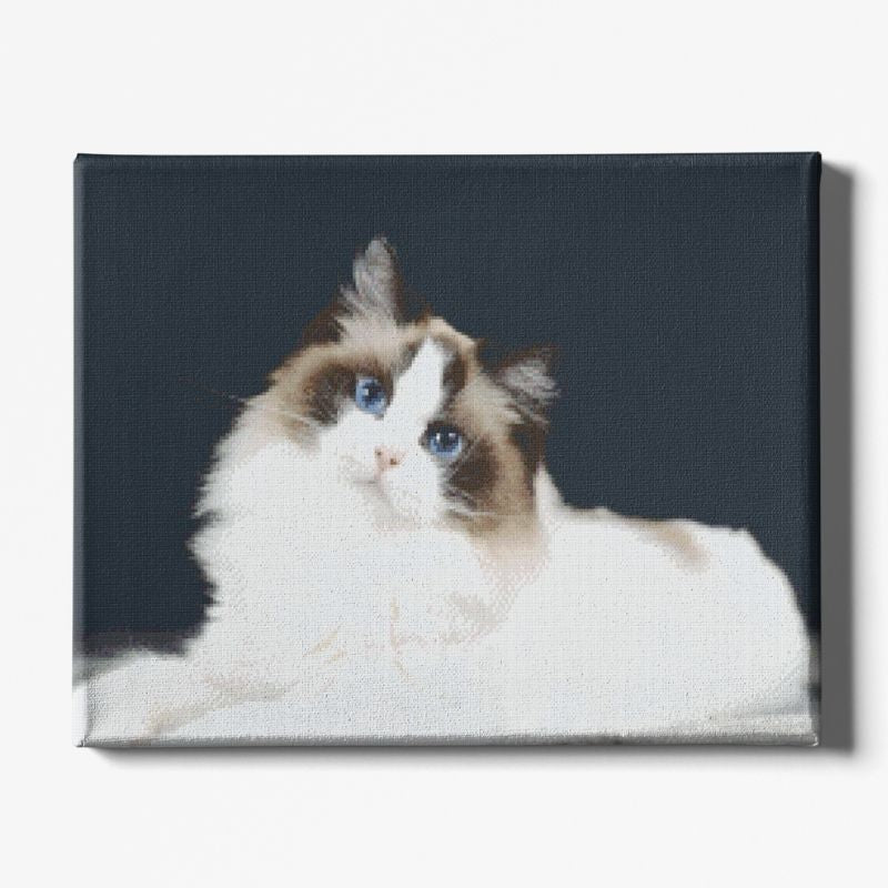 Kit Broderie Diamant Chat Ragdoll - Brodeuse De Diamant