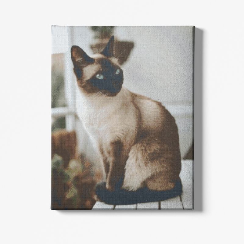 Kit Broderie Diamant Chat Siamois - Brodeuse De Diamant