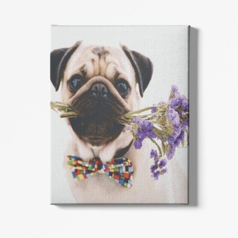 Kit Broderie Diamant Chien Carlin - Brodeuse De Diamant