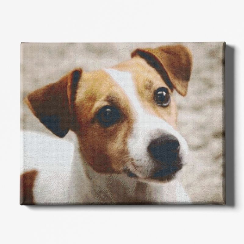 Kit Broderie Diamant Chien Jack Russell - Brodeuse De Diamant