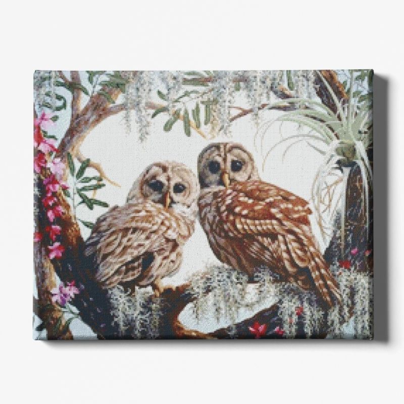 Kit Broderie Diamant Chouettes Perchées