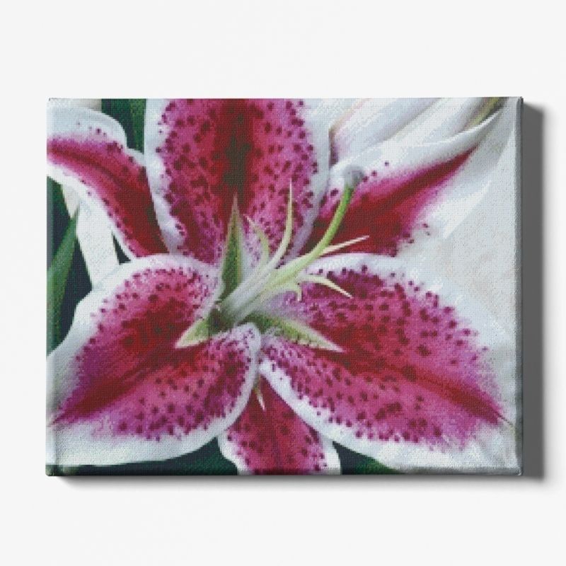 Kit Broderie Diamant Fleur Lys - Brodeuse De Diamant