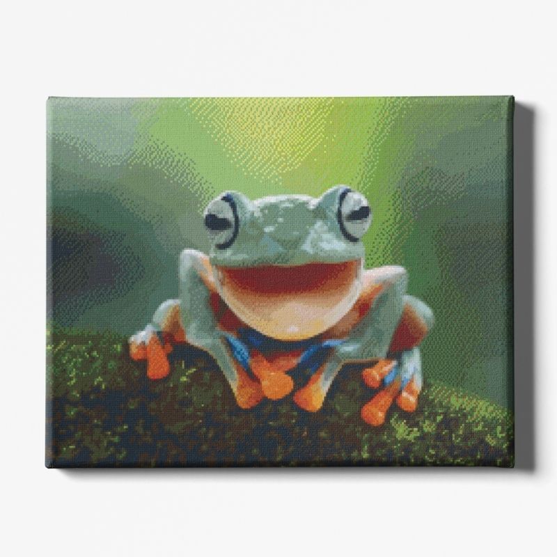 Kit Broderie Diamant Grenouille Heureuse - Brodeuse De Diamant
