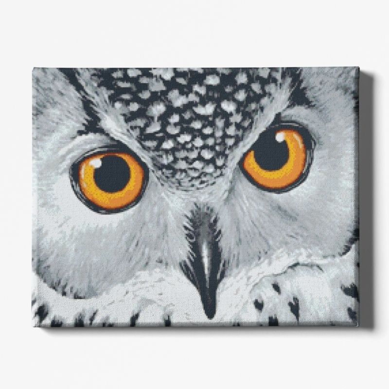 Kit Broderie Diamant Hibou Marais - Brodeuse De Diamant