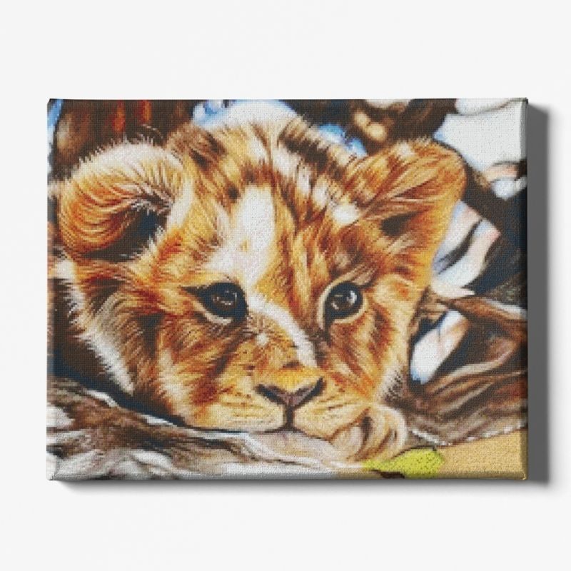 Kit Broderie Diamant Lionceau - Brodeuse De Diamant