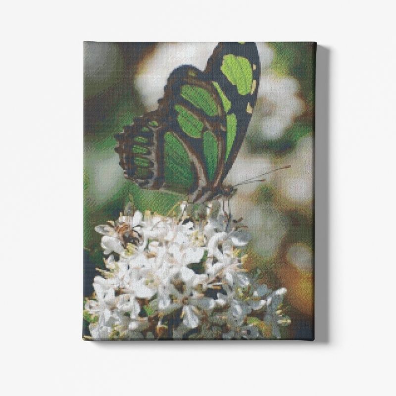 Kit Broderie Diamant Papillon Vert - Brodeuse De Diamant