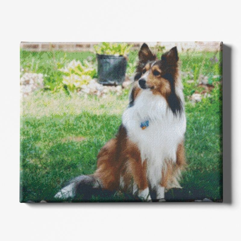 Kit Broderie Diamant Chien Shetland - Brodeuse De Diamant