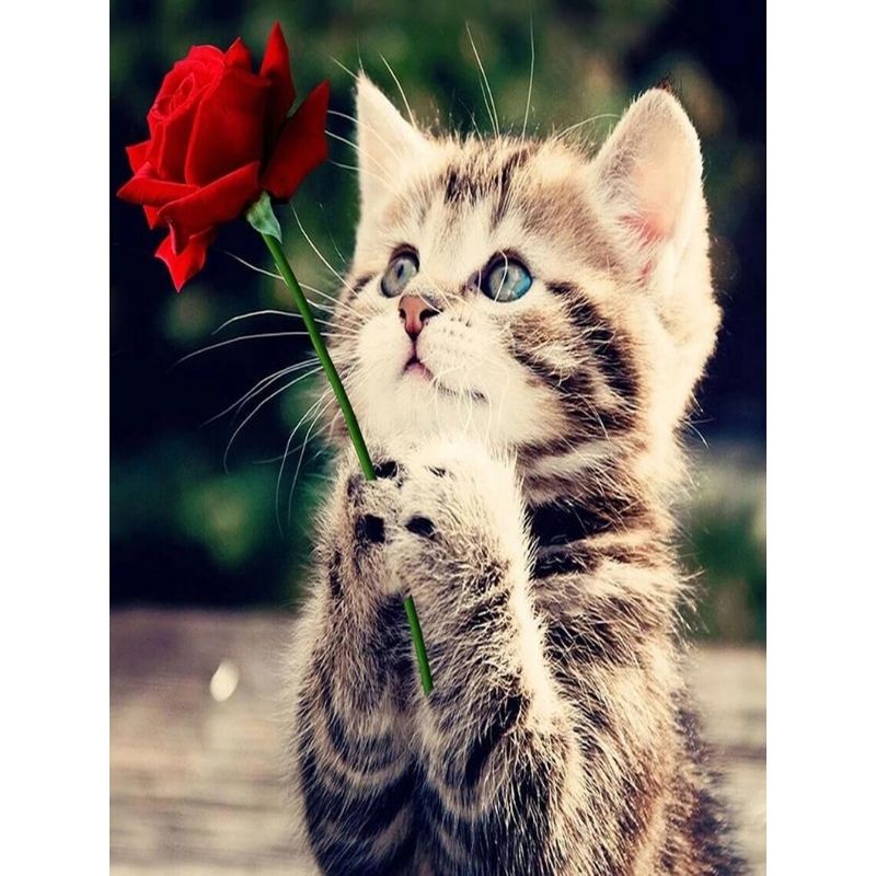 Kit Broderie Diamant Chat et Rose - Brodeuse De Diamant