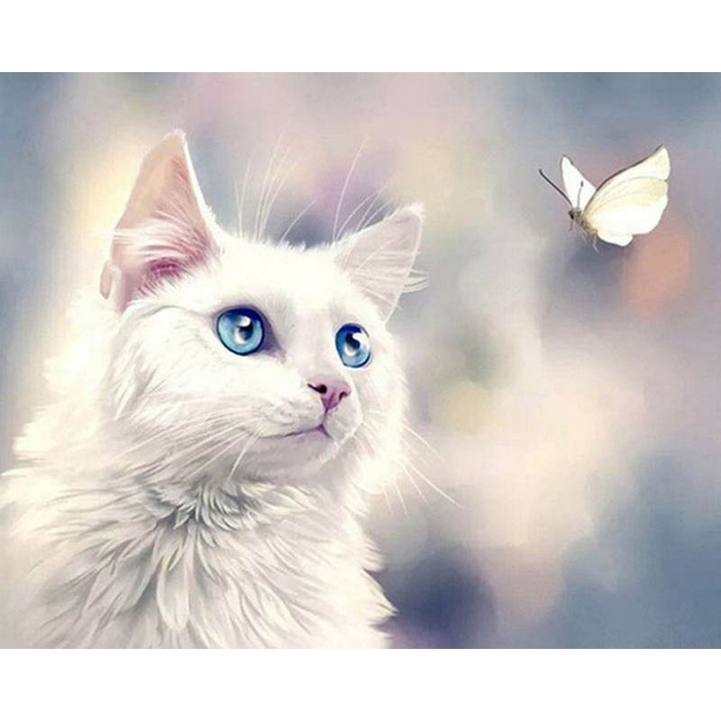 Kit Broderie Diamant Chat Joueur - Brodeuse De Diamant