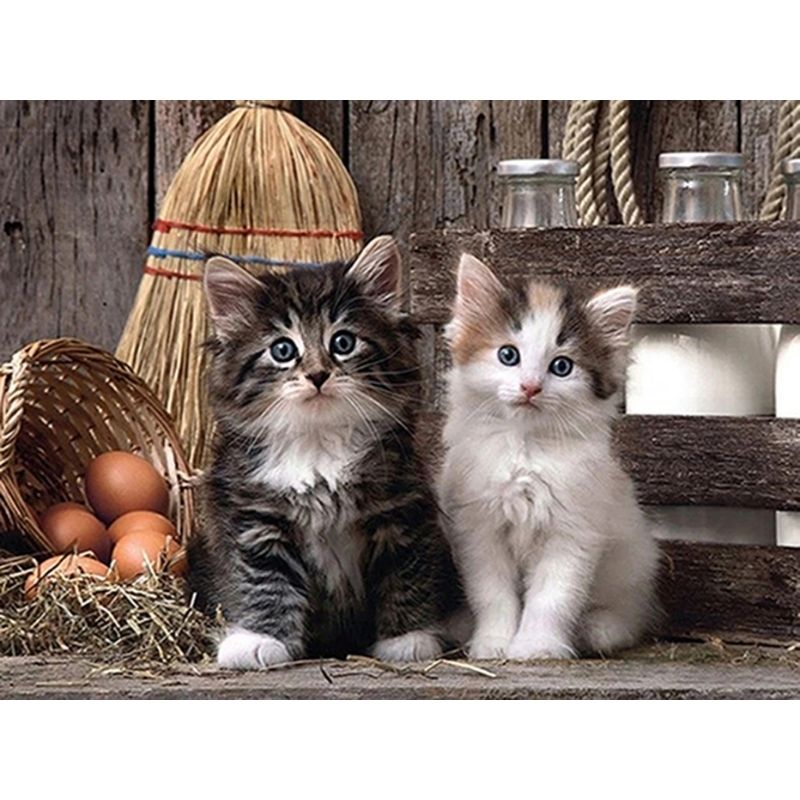 Kit Broderie Diamant Chatons à la Ferme - Brodeuse De Diamant