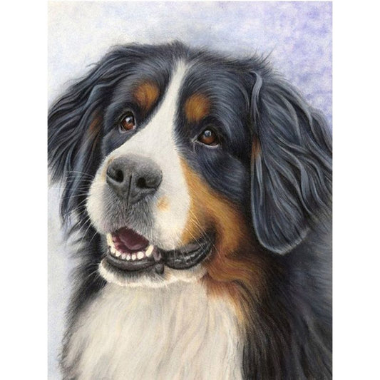 Kit Broderie Diamant Chien Bouvier Bernois - Brodeuse De Diamant