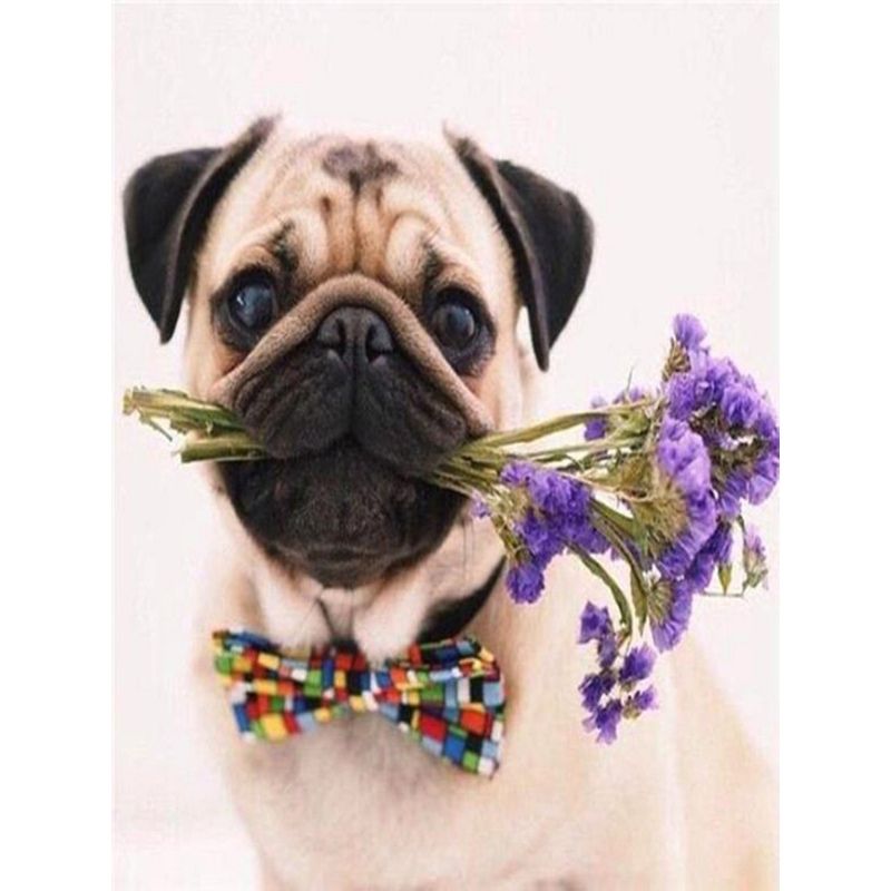 Kit Broderie Diamant Chien Carlin - Brodeuse De Diamant