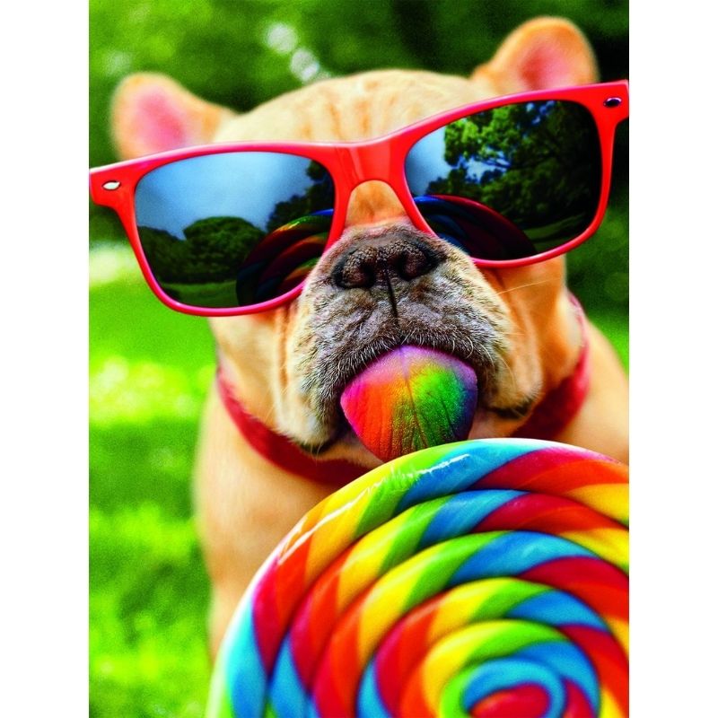 Kit Broderie Diamant Chien Cool