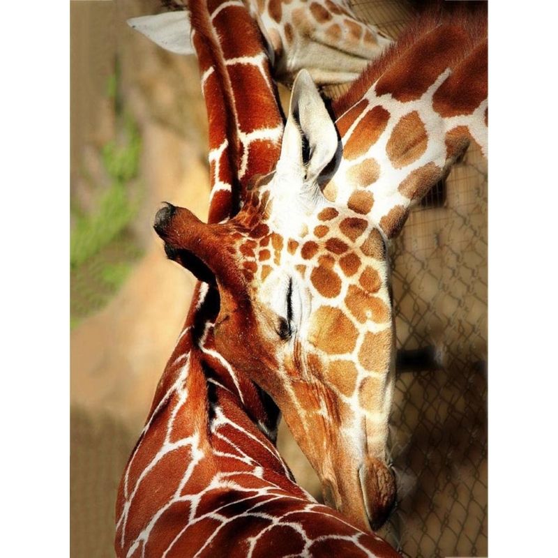 Kit Broderie Diamant Girafe Calin - Brodeuse De Diamant