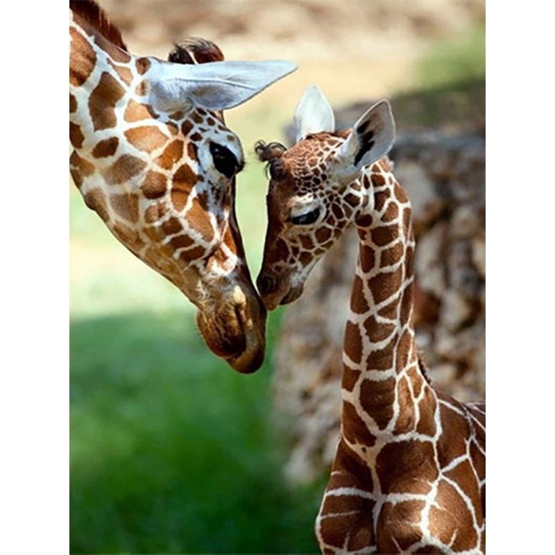 Kit Broderie Diamant Girafe et Petit - Brodeuse De Diamant