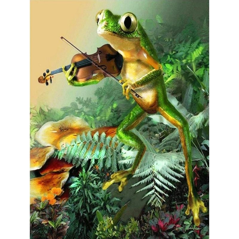 Kit Broderie Diamant Grenouille Violoniste - Brodeuse De Diamant