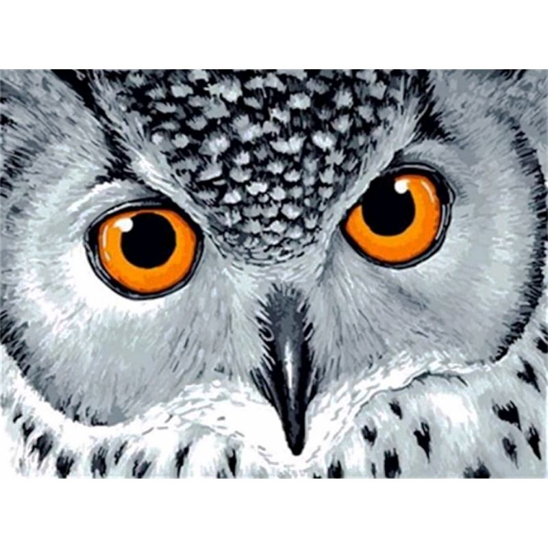 Kit Broderie Diamant Hibou Marais - Brodeuse De Diamant