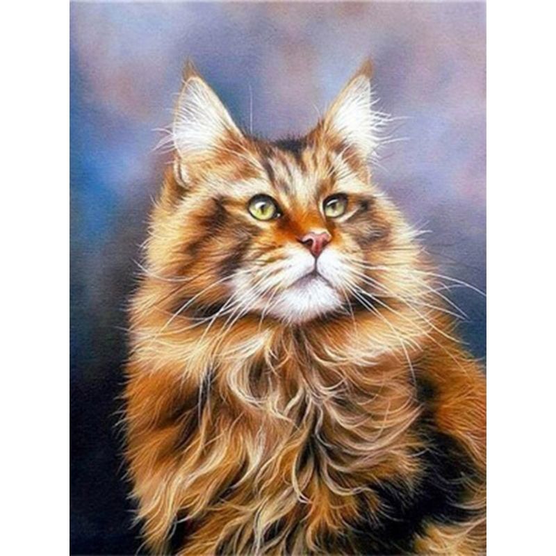 Kit Broderie Diamant Chat Maine Coon - Brodeuse De Diamant