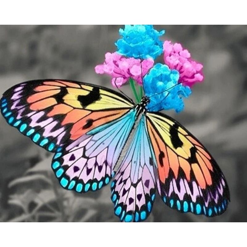 Kit Broderie Diamant Papillon Arc-en-Ciel - Brodeuse De Diamant