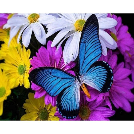 Kit Broderie Diamant Papillon Bleu et Fleurs - Brodeuse De Diamant