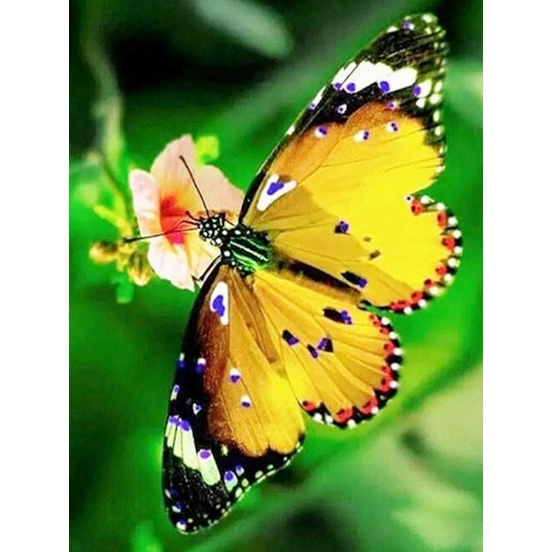 Kit Broderie Diamant Papillon Jaune - Brodeuse De Diamant