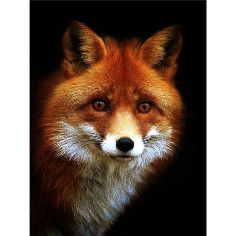 Kit Broderie Diamant Portrait Renard