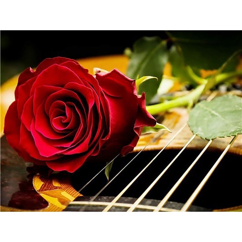 Kit Broderie Diamant Rose sur Guitare
