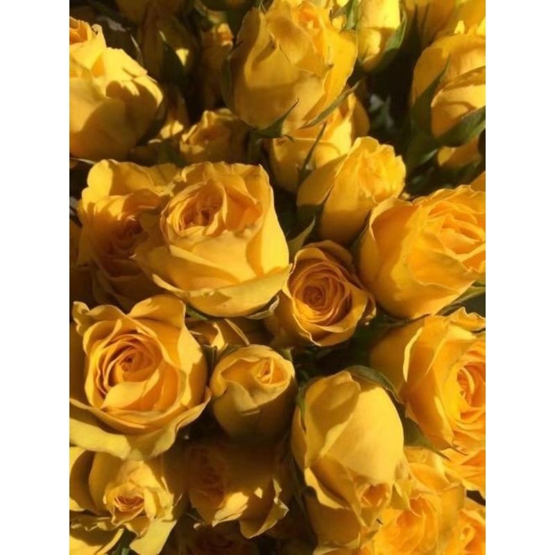 Kit Broderie Diamant Fleur Bouquet de Roses Jaunes - Brodeuse De Diamant