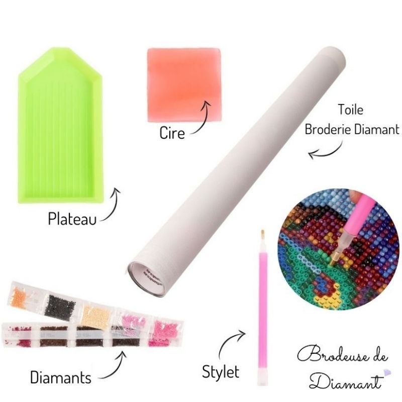 Kit Broderie Diamant Chien Boston Terrier - Brodeuse De Diamant
