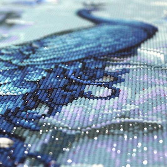 broderie-diamant-paon