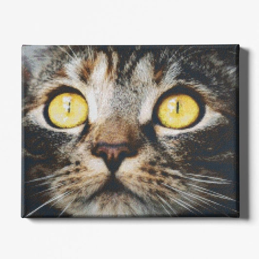 Kit Broderie Diamant Chat Nature - Brodeuse De Diamant