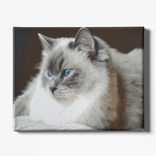 Kit Broderie Diamant Chat Sacré De Birmanie - Brodeuse De Diamant