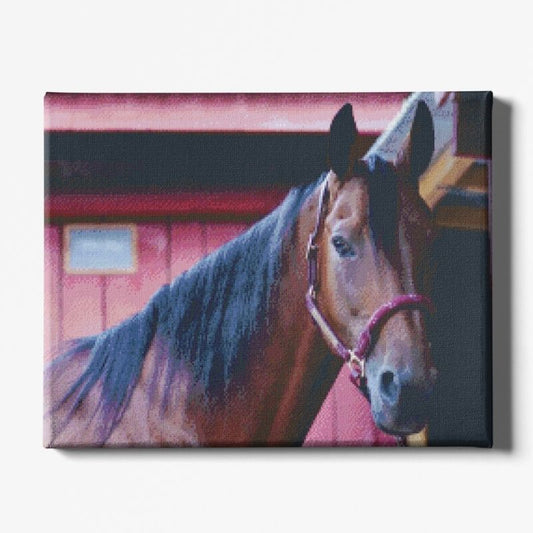 Kit Broderie Diamant Cheval Écurie - Brodeuse De Diamant