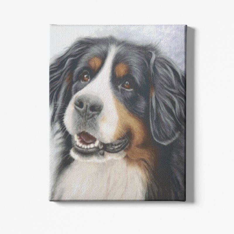 Kit Broderie Diamant Chien Bouvier Bernois - Brodeuse De Diamant