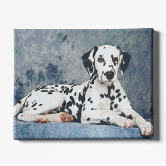 Kit Broderie Diamant Chien Dalmatien - Brodeuse De Diamant