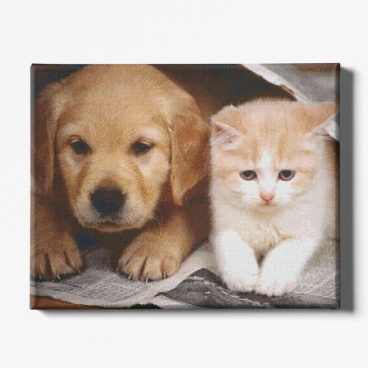 Kit Broderie Diamant Chien et Chat - Brodeuse De Diamant
