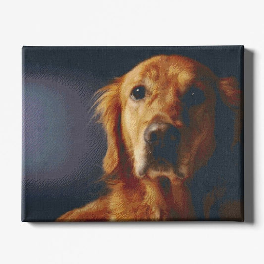 Kit Broderie Diamant Chien Golden Retriever - Brodeuse De Diamant