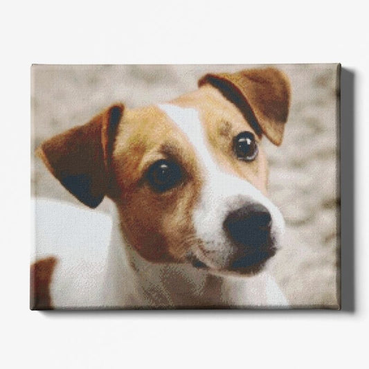 Kit Broderie Diamant Chien Jack Russell - Brodeuse De Diamant