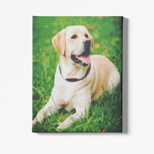 Kit Broderie Diamant Chien Labrador - Brodeuse De Diamant