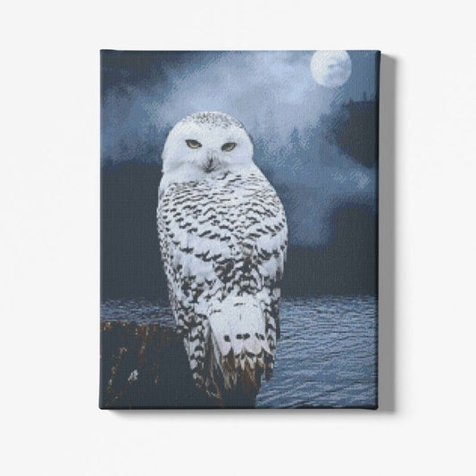 Reofrey DIY Chouette Diamond Painting Accessoires, Animaux 5D Broderie Diamant Kit Complet Point De Croix Strass Diamant Painting, Peinture Diamant Craft Home Artisanat Murale Décor 30x40cm C51 Reofrey DIY Chouette Diamond Painting Accessoires, Animaux 5D Broderie Diamant Kit Complet Point De Croix Strass Diamant Painting, Peinture Diamant Craft Home Artisanat Murale Décor 30x40cm C51
