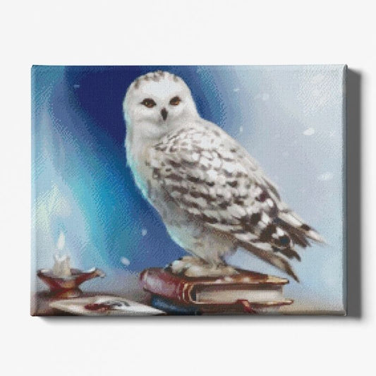 VAIIEYO 5D Diamond Painting Chouette, Broderie Diamant Animaux, Canevas Diamant kit Complet Point De Croix Broderie Salon Chambre Autocollant Mural Décoration 30x40cm VAIIEYO 5D Diamond Painting Chouette, Broderie Diamant Animaux, Canevas Diamant kit Complet Point De Croix Broderie Salon Chambre Autocollant Mural Décoration 30x40cm