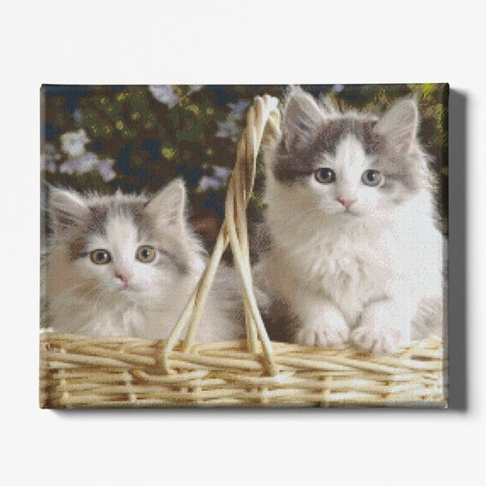 Kit Broderie Diamant Chat Frère et Soeur - Brodeuse De Diamant