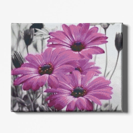 Kit Broderie Diamant Fleur Marguerite Violette - Brodeuse De Diamant