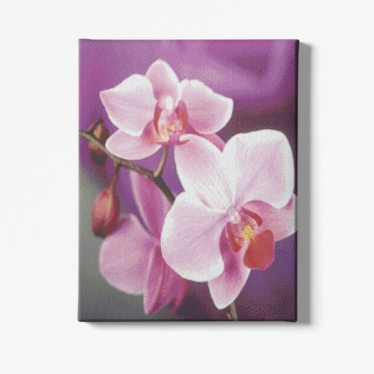 Kit Broderie Diamant Fleur Orchidée - Brodeuse De Diamant