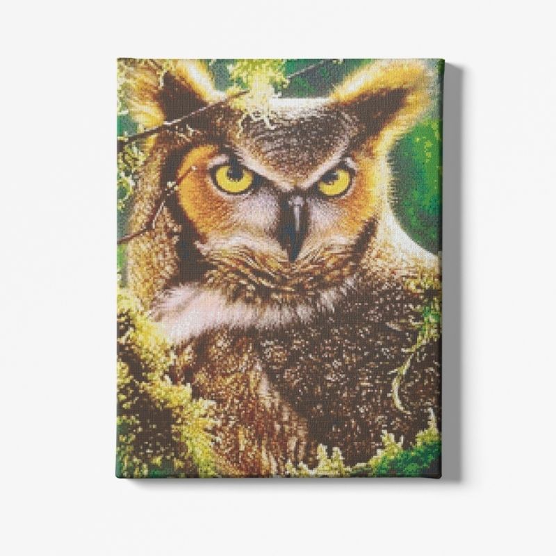 Kit Broderie Diamant Hibou Nature - Brodeuse De Diamant