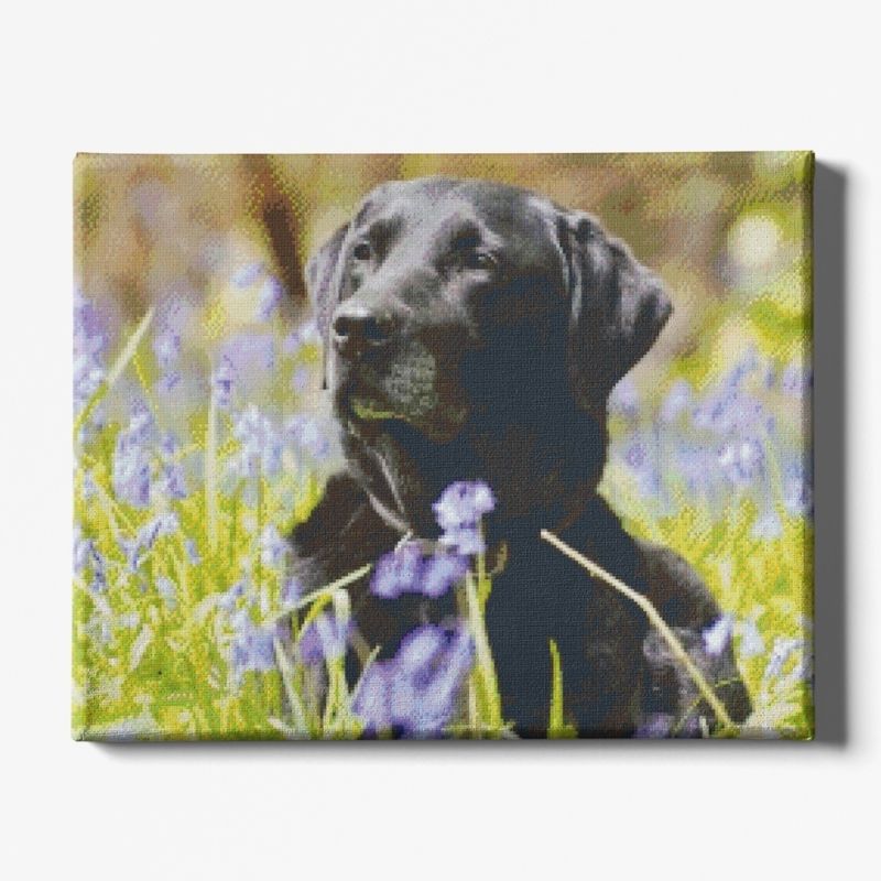 Kit Broderie Diamant Chien Labrador Noir - Brodeuse De Diamant